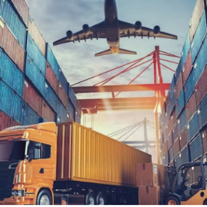 Customs agency in Europe